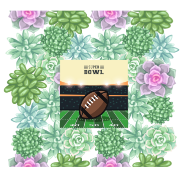 Superbowl & Succulents Event- Sun. 2/12